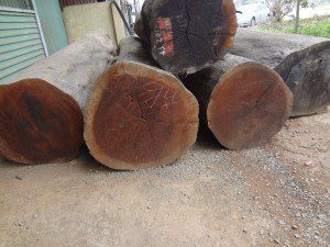 Vụ doanh nghiệp xuất khẩu gỗ phải có chứng chỉ Cites: “Không vơ đũa cả nắm”!