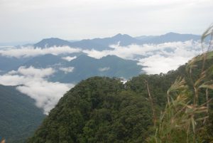 Công bố hiện trạng rừng toàn quốc năm 2023, hai tỉnh Nghệ An, Bắc Kạn sở hữu hai cái nhất