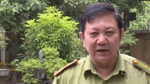 Sự thực về rừng tự nhiên ở Lang Chánh bị chặt phá
