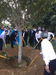 Tết trồng cây và trồng rừng vụ Xuân năm 2019: Thanh Hóa đạt kết quả khá