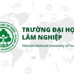 Hội thảo “Phát triển Lâm nghiệp môi trường ở Việt Nam: Cơ hội, thách thức và giải pháp”