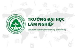 Hội thảo “Phát triển Lâm nghiệp môi trường ở Việt Nam: Cơ hội, thách thức và giải pháp”